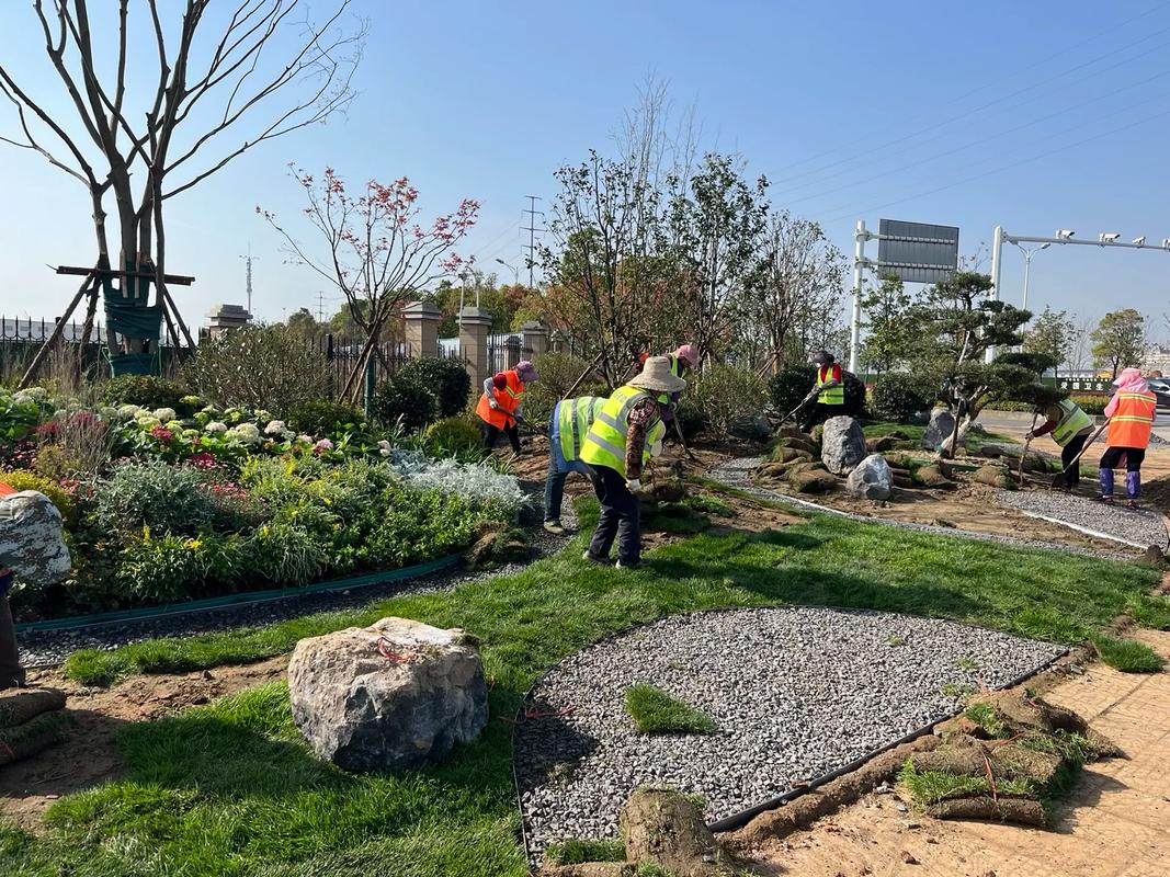 園林綠化工程施工現場實拍 匠心營造綠色家園