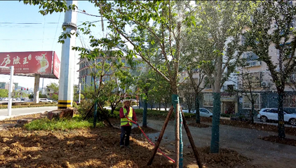 165名園林綠化工人堅守崗位 節日植樹護綠守護房縣城市底色